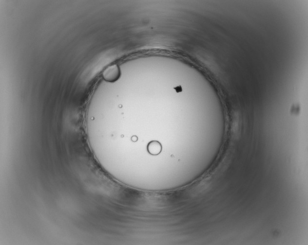 X0000114641258200910201435