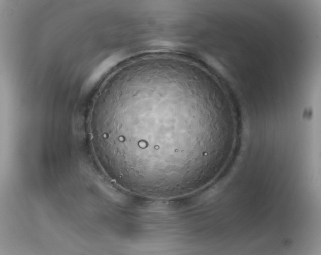 X0000114641259200910201435