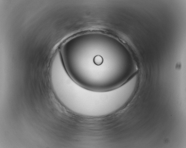 X0000114641260200910201435