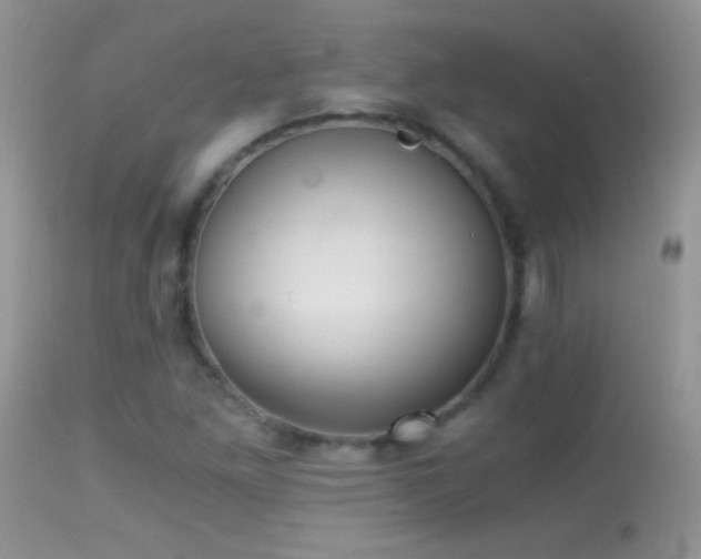 X0000114641261200910201435