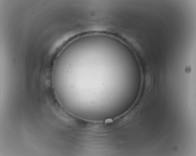 X0000114641262200910201435