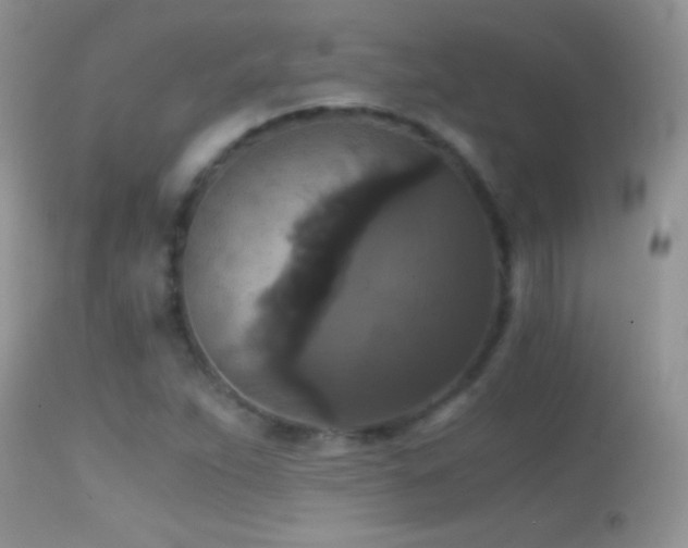 X0000114641263200910201435