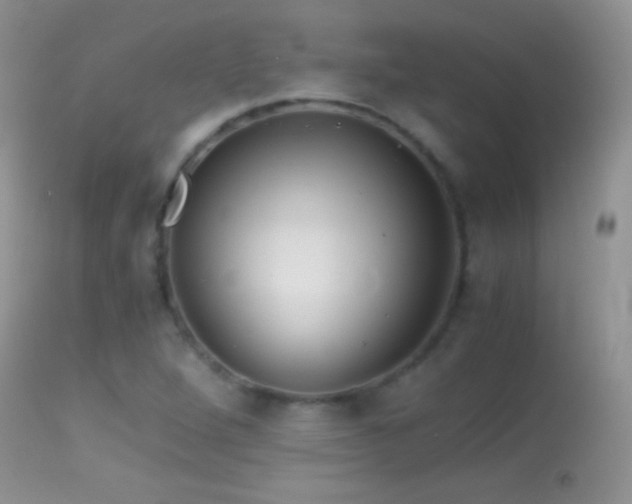 X0000114641264200910201435