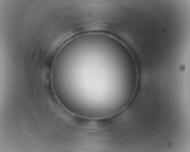 X0000114641265200910201435