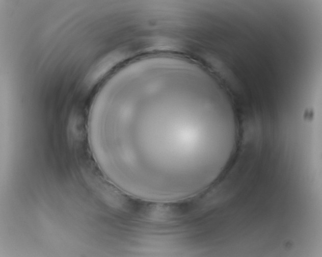 X0000114641266200910201435
