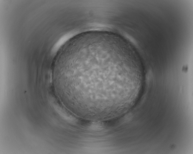 X0000114641267200910201435