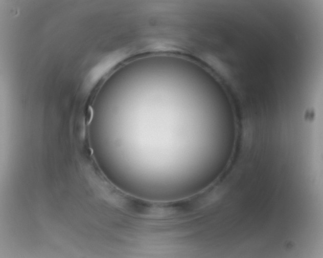 X0000114641269200910201435