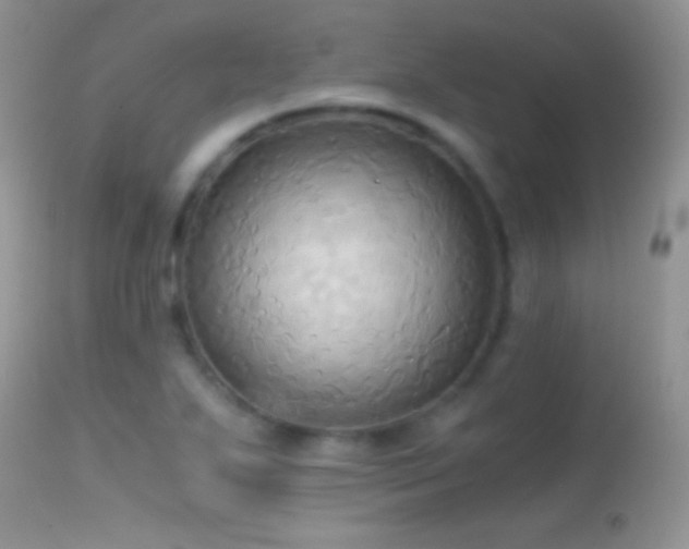 X0000114641271200910201435
