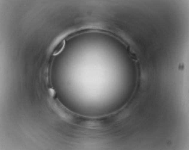 X0000114641272200910201435