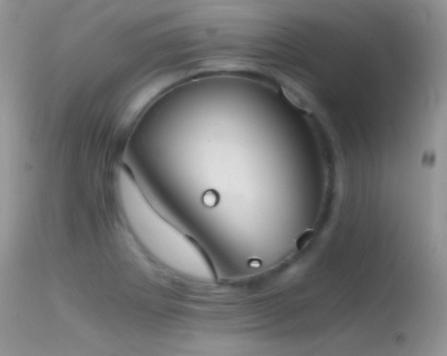 X0000114641273200910201435