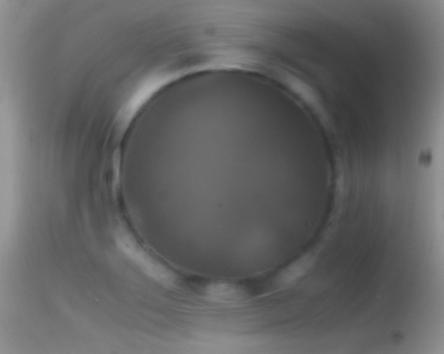 X0000114641275200910201435