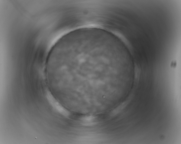 X0000114641278200910201434