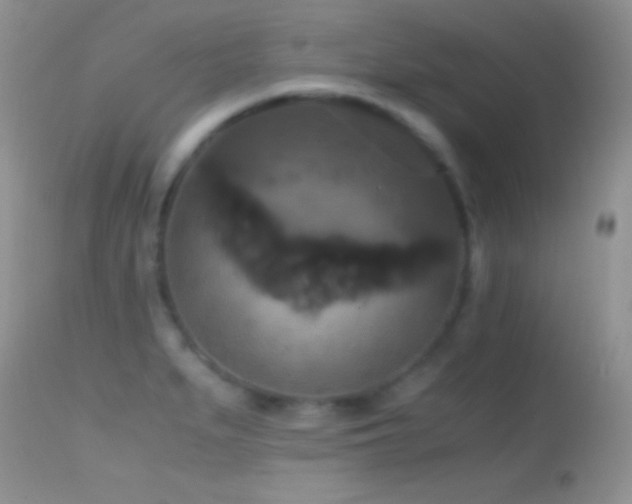 X0000114641279200910201434