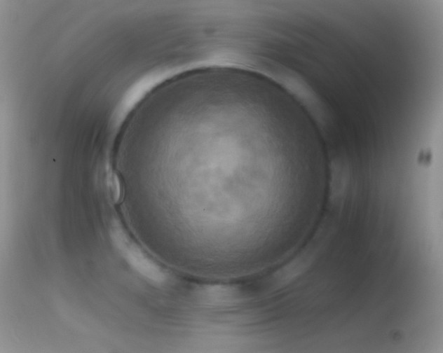 X0000114641280200910201434