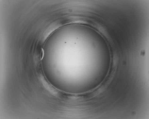 X0000114641281200910201434