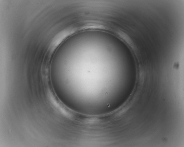 X0000114641282200910201434