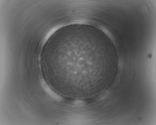X0000114641283200910201434