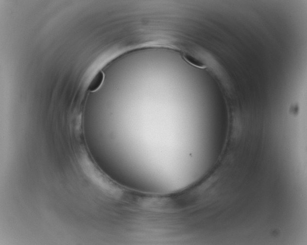 X0000114641284200910201434