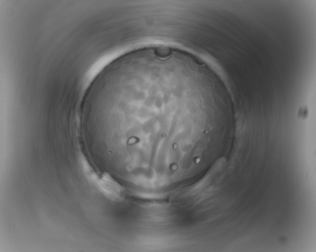 X0000114641287200910201434
