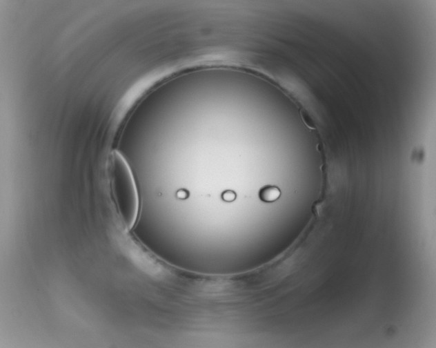X0000114641288200910201434