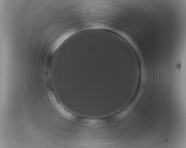 X0000114641289200910201434