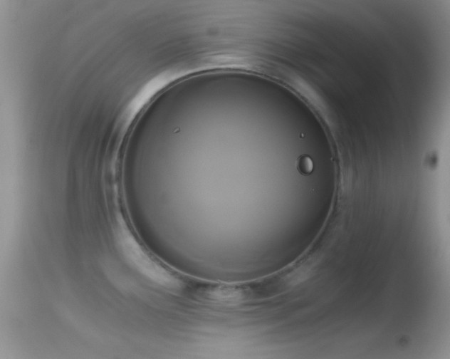 X0000114641291200910201434