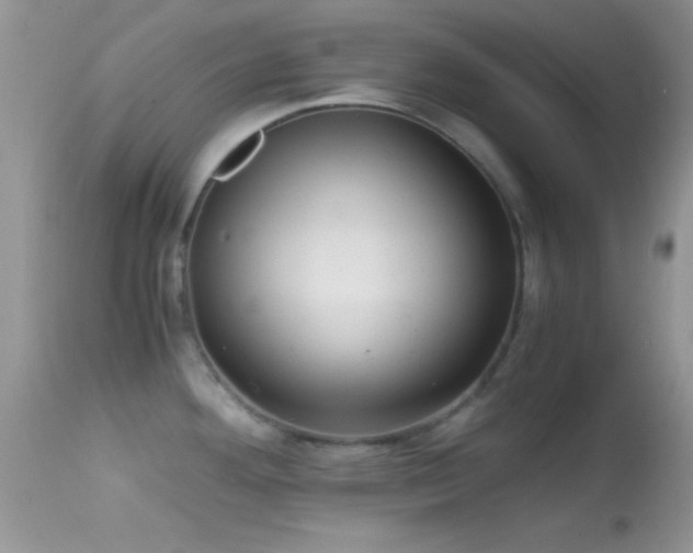 X0000114641292200910201434