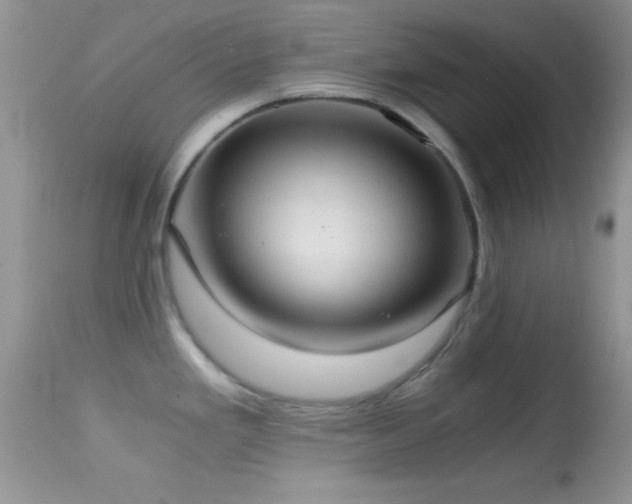 X0000114641293200910201434