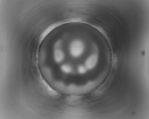 X0000114641294200910201434
