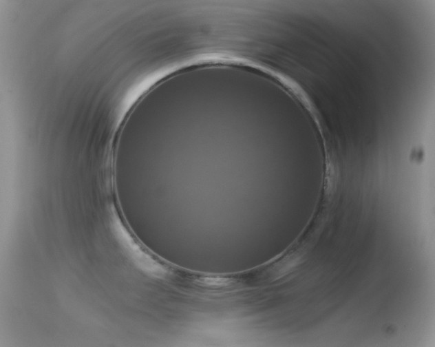 X0000114641295200910201434
