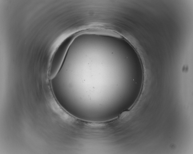 X0000114641296200910201434