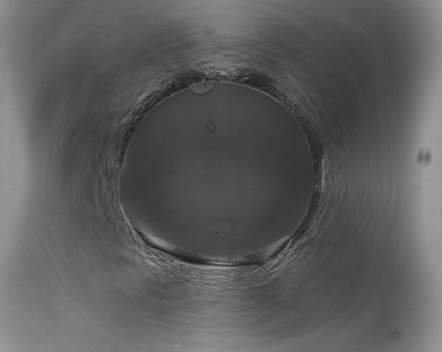 X0000114641297200910201433
