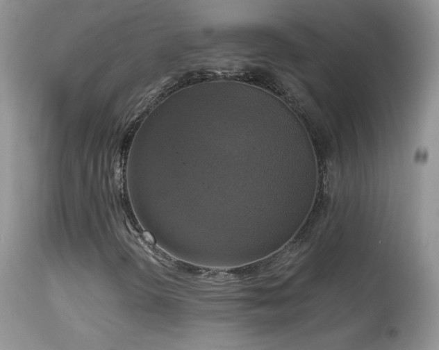 X0000114641298200910201433