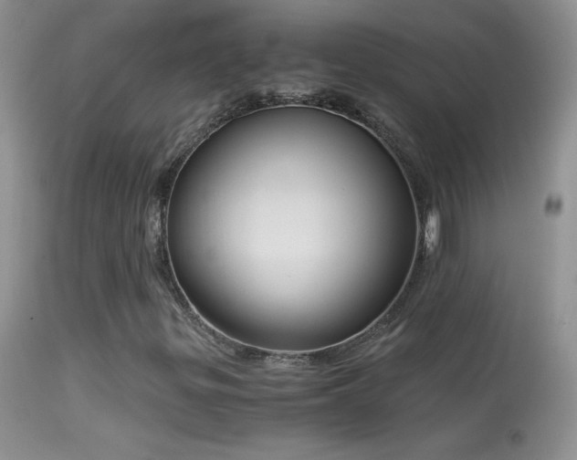 X0000114641299200910201433
