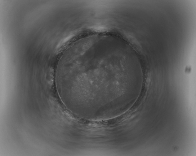 X0000114641301200910201433
