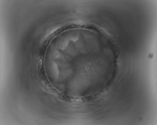 X0000114641302200910201433