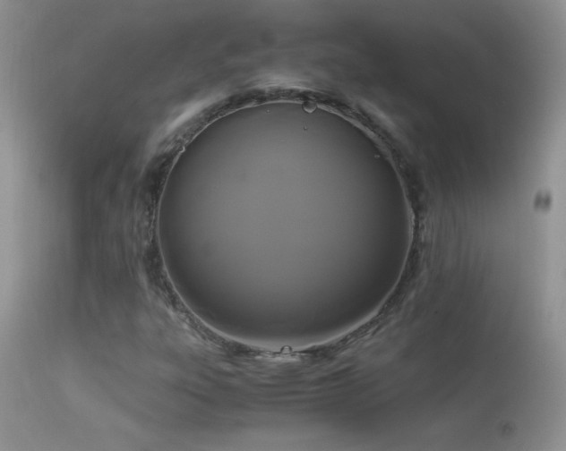 X0000114641303200910201433