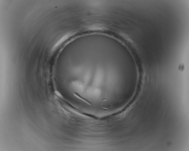 X0000114641306200910201434