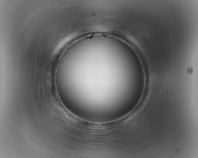X0000114641307200910201434