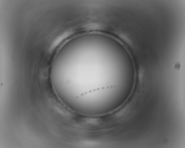 X0000114641309200910201434
