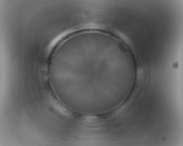 X0000114641310200910201434