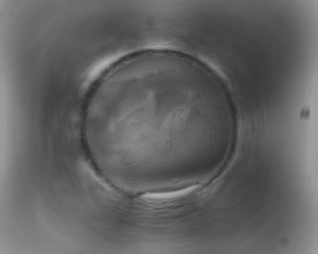 X0000114641311200910201434