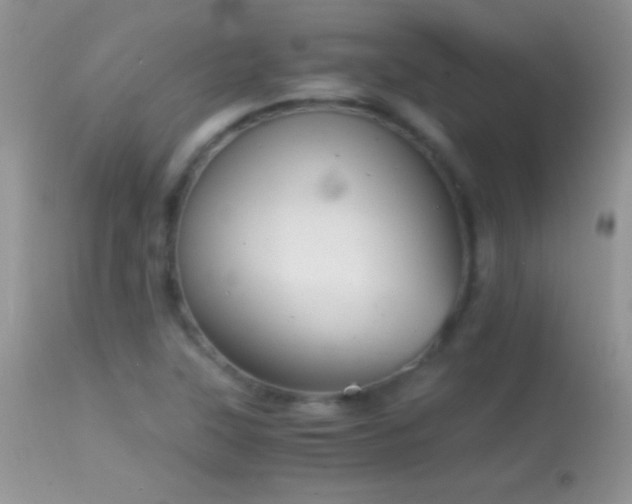 X0000114641315200910201434