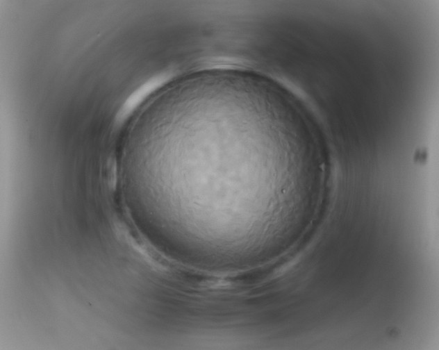 X0000114641317200910201434