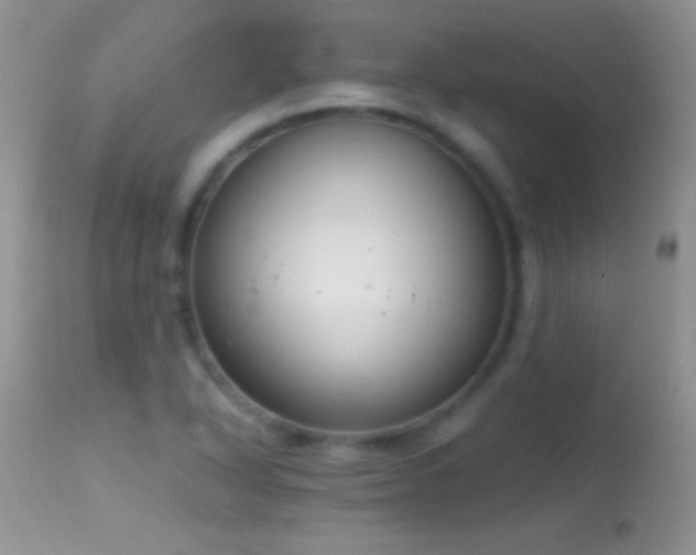 X0000114641318200910201434