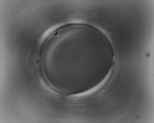 X0000114641319200910201434