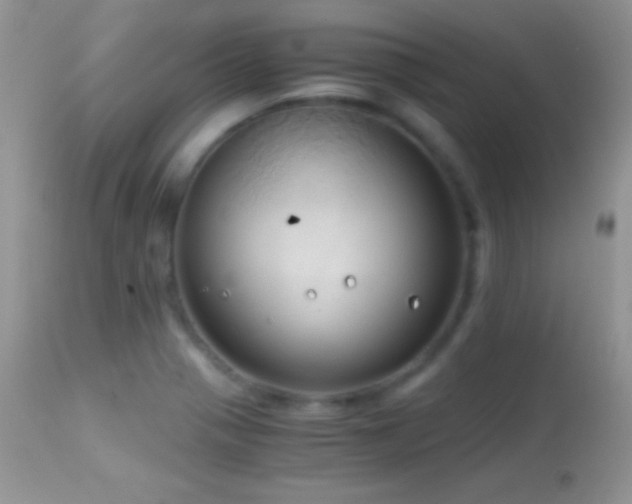 X0000114641321200910201434
