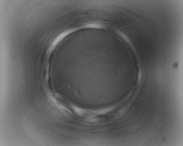 X0000114641323200910201434
