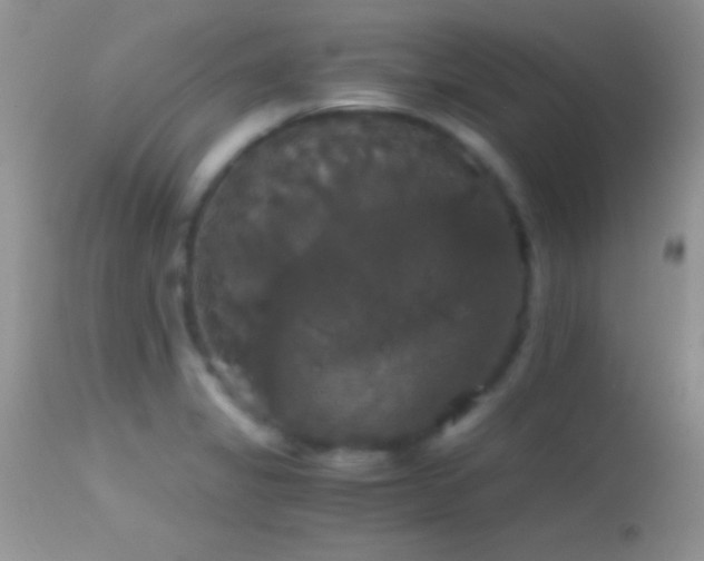 X0000114641325200910201434
