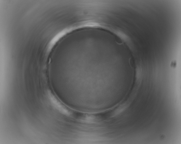X0000114641326200910201434